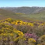 La De 3* Pedrazales