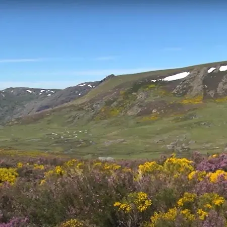 La De Kro Pedrazales