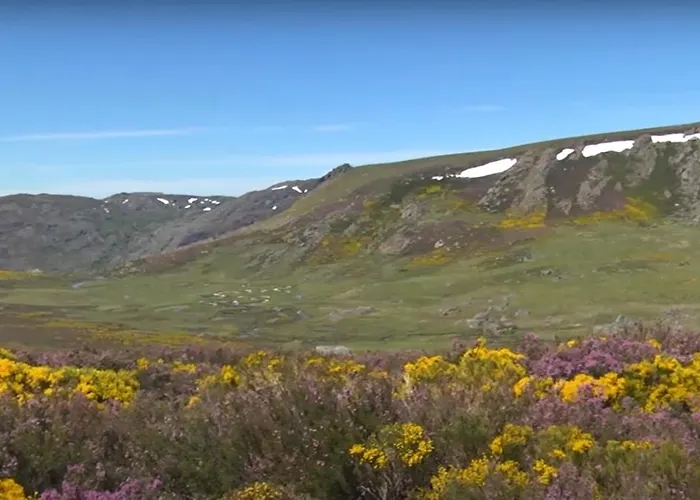 La De 여관 Pedrazales