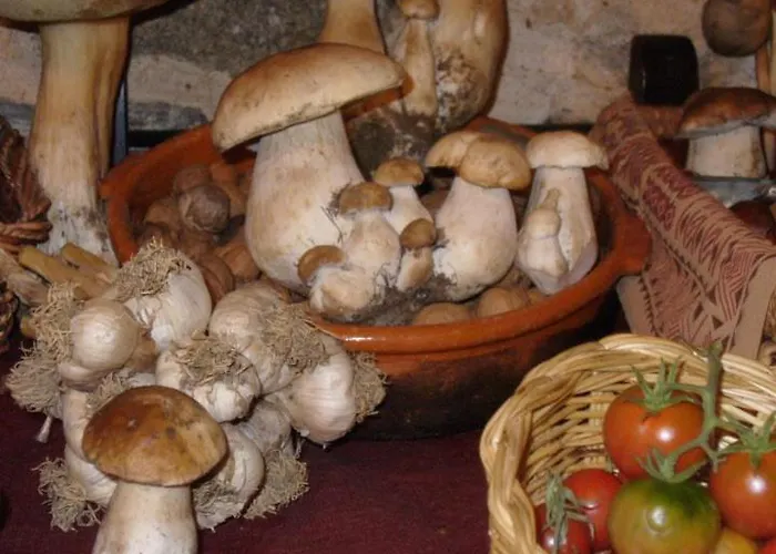 La De 여관 Pedrazales